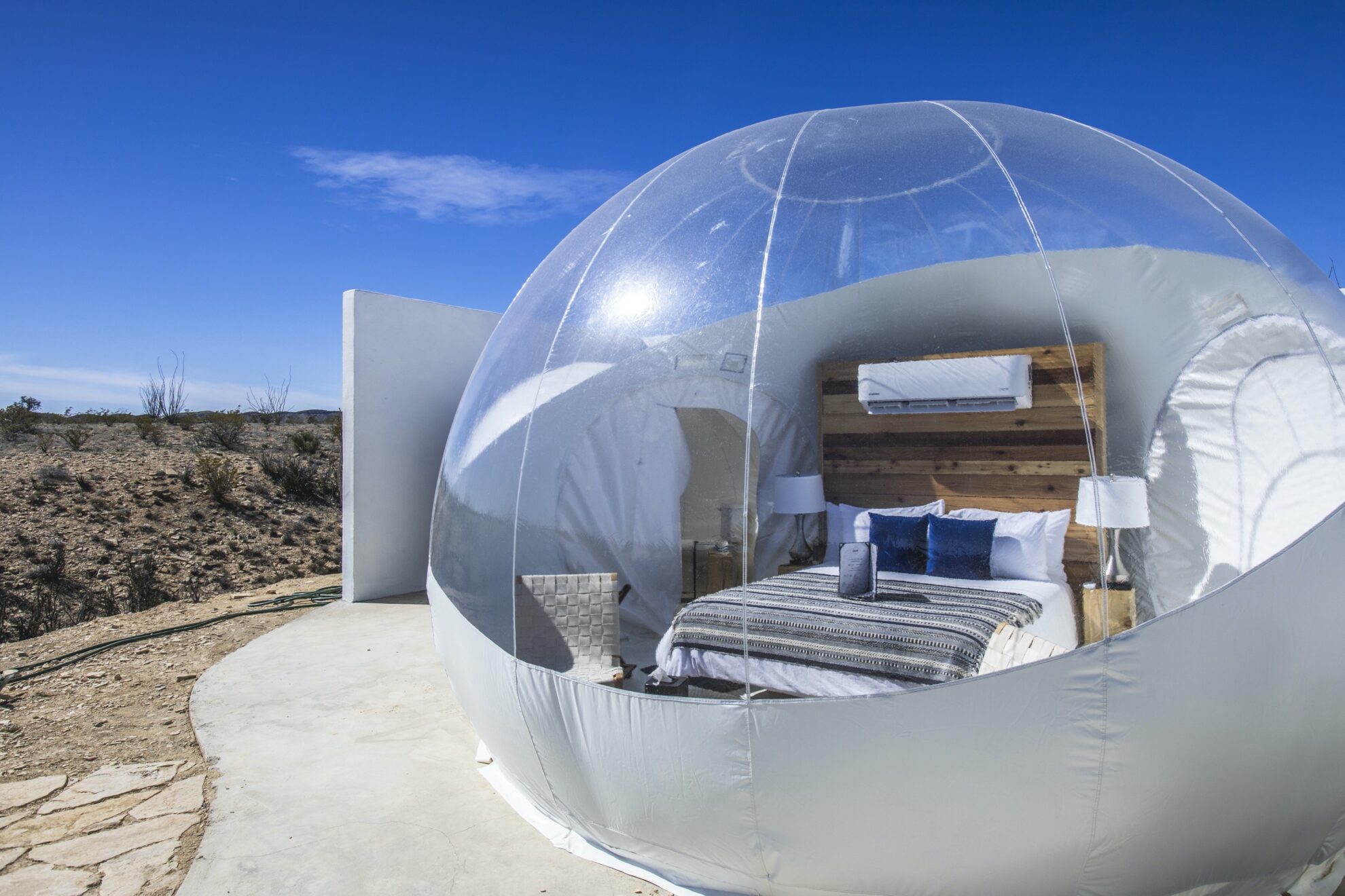 Bubbles BasecampBubbleAgaveAdventureLunaVida